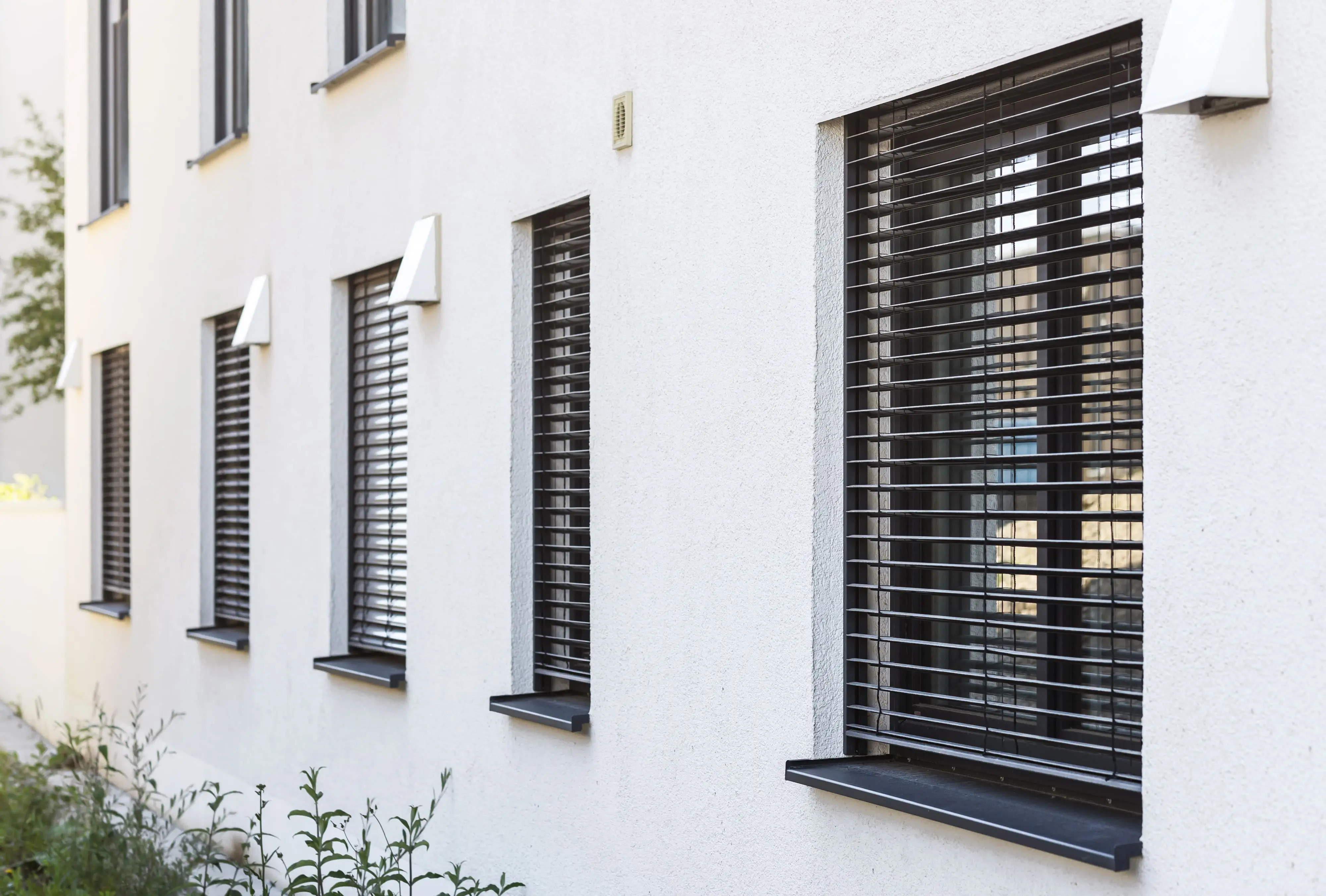 Interior Shutter Window Coverings
